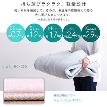 マイクロファイバー・デザインラグマットSサイズ(130×185cm)洗えるラグマット 【WASHFA2】 ホームテイスト