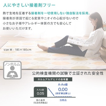 マイクロファイバー・デザインラグマットSサイズ(130×185cm)洗えるラグマット 【WASHFA2】 ホームテイスト