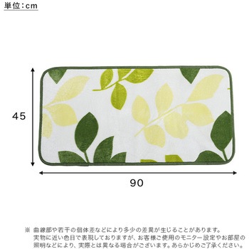 洗えるデザイン玄関マット 45×90cm 【ヴィタム2-Witam2-】 ホームテイスト