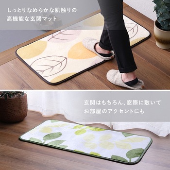 洗えるデザイン玄関マット 45×90cm 【ヴィタム2-Witam2-】 ホームテイスト