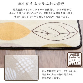 洗えるデザイン玄関マット 45×90cm 【ヴィタム2-Witam2-】 ホームテイスト