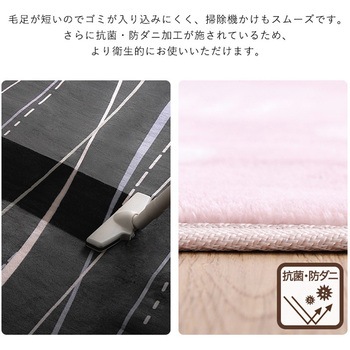 洗えるデザイン玄関マット 45×90cm 【ヴィタム2-Witam2-】 ホームテイスト