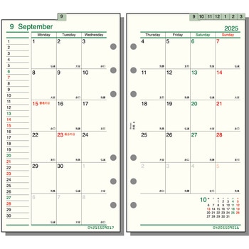 2025年度システム手帳聖書リフィル ダヴィンチ レイメイ藤井