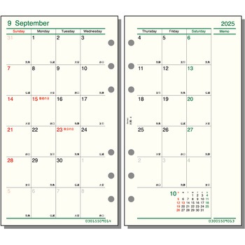 2025年度システム手帳聖書リフィル ダヴィンチ レイメイ藤井