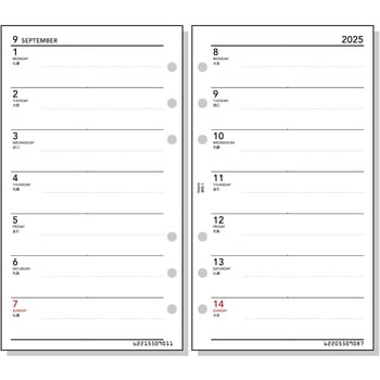 2025年度システム手帳聖書リフィル キーワード レイメイ藤井