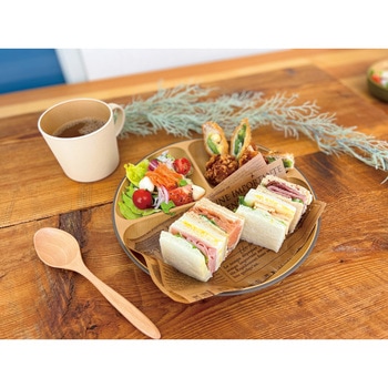 抗菌ランチプレート カノー