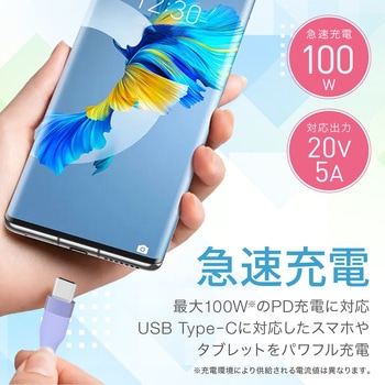USB-Cソフトケーブル (Type-C to C) PD 100W 5A 急速充電対応 結束バンド付き トライメイト