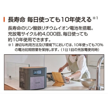 ポータブル電源 BPSシリーズ 工進