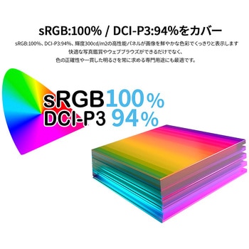 液晶ディスプレイ 31.5型/3840×2160/HDMI、DP、USB-C×1/ブラック/スピーカー無/2年保証 JAPANNEXT