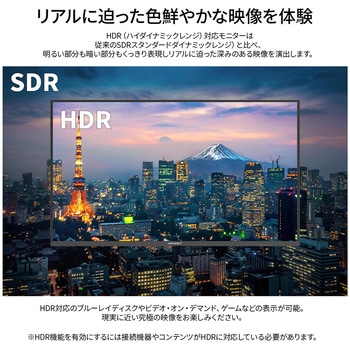 液晶ディスプレイ 31.5型/3840×2160/HDMI、DP、USB-C×1/ブラック/スピーカー無/2年保証 JAPANNEXT
