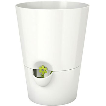 EZHP-WH tbVn[u GU 84910972