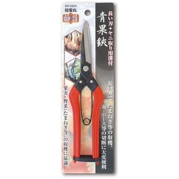 青果鋏 龍宝丸