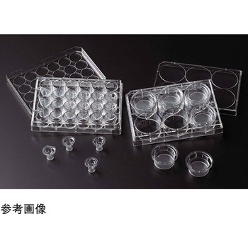 パーミアブル セルカルチャーインサート 6ウェル用 滅菌 12個入 Celltreat