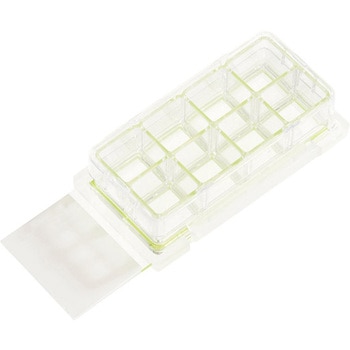 Chamber Cell Culture Slide， Glass， Sterile 12個入 Celltreat