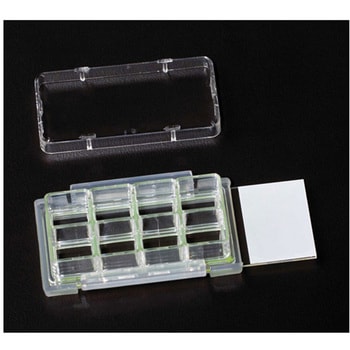 Chamber Cell Culture Slide， Glass， Sterile 12個入 Celltreat