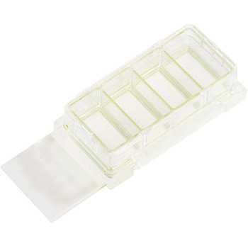 Chamber Cell Culture Slide， Glass， Sterile 12個入 Celltreat