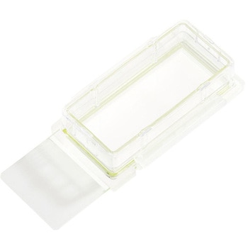 Chamber Cell Culture Slide， Glass， Sterile 12個入 Celltreat