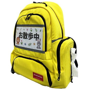 01-171  ւ̕SyۈmbN 01-171V[Y {GCebNX 85008046