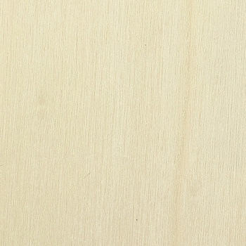 ポプラベニヤ 120x65x2.5mm アーテック(学校教材・教育玩具)