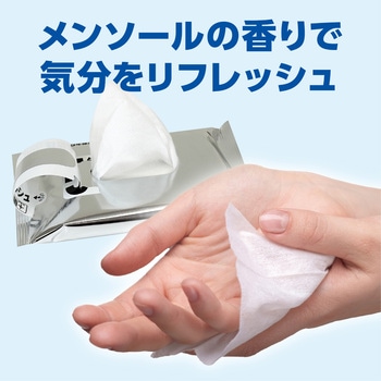 51255 5年保証・超防災用ウェットティッシュ20枚入 睦化学工業