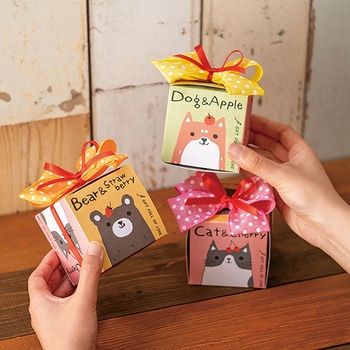 スイートアニマルキューブボックス HEADS(ヘッズ)