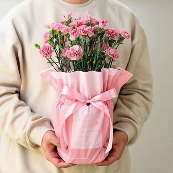 シルキーピンクリボン付ポットカバー HEADS(ヘッズ)