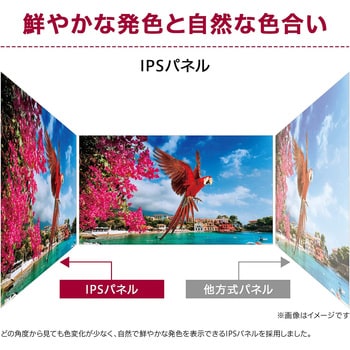 29WQ600-W 29インチ ウルトラワイド液晶ディスプレイ(2560x1080/IPS/ノングレア/HDMI/DP/Type-C/スピーカー/チルト)  1個 LG 【通販モノタロウ】