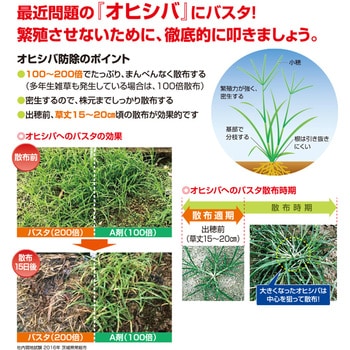 バスタ液剤 BASF(ビーエーエスエフ)