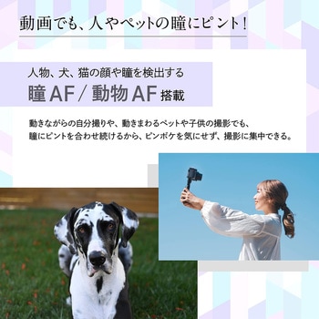 ミラーレス一眼カメラ Z30 Nikon(ニコン)