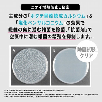 洗技 生乾き臭防止スプレー リベルタ