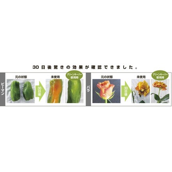 冷蔵庫用加湿機 GK-004TAU タンク式 鎌倉製作所