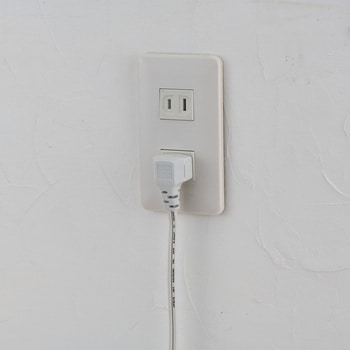 家具用スイッチ付コンセント2個口 ELPA
