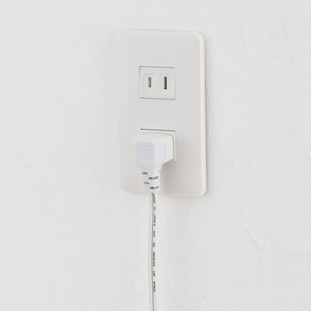 家具用スイッチ付コンセント2個口 ELPA
