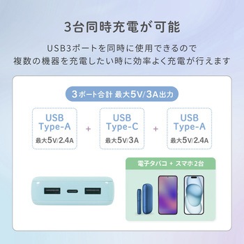 Type-C 入力&出力対応で軽量196g 10000mAh 小型軽量モバイルバッテリー OWLTECH(オウルテック)