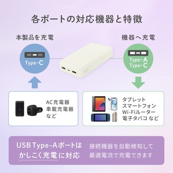 Type-C 入力&出力対応で軽量196g 10000mAh 小型軽量モバイルバッテリー OWLTECH(オウルテック)