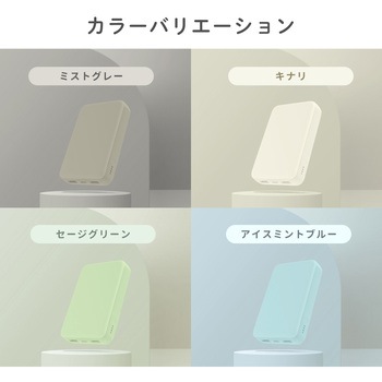 Type-C 入力&出力対応で軽量196g 10000mAh 小型軽量モバイルバッテリー OWLTECH(オウルテック)