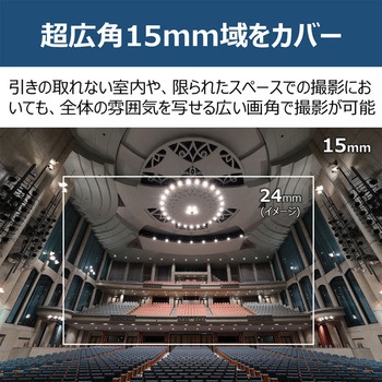 RFレンズ RF15-30mm F4.5-6.3 IS STM Canon