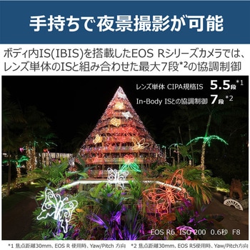 RFレンズ RF15-30mm F4.5-6.3 IS STM Canon