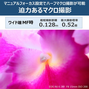 RFレンズ RF15-30mm F4.5-6.3 IS STM Canon