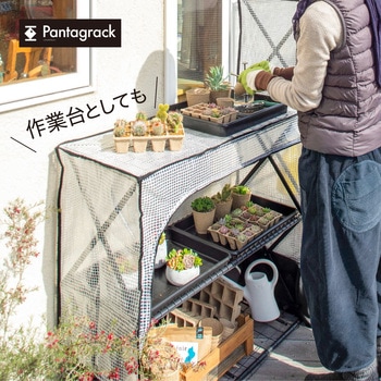 パンタグラックハウス タカショー