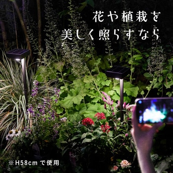 ひかりノベーション SUNCHARGE 足もと・花のひかり 2個入り ソーラーライト タカショー