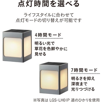 ひかりノベーション SUNCHARGE 足もと・花のひかり 2個入り ソーラーライト タカショー