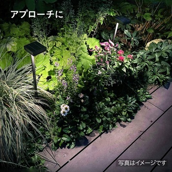 ひかりノベーション SUNCHARGE 足もと・花のひかり 2個入り ソーラーライト タカショー