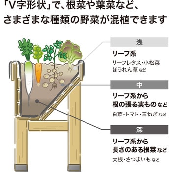 ホームベジトラグウォールハガー タカショー