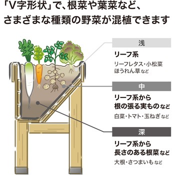 ホームベジトラグウォールハガー タカショー