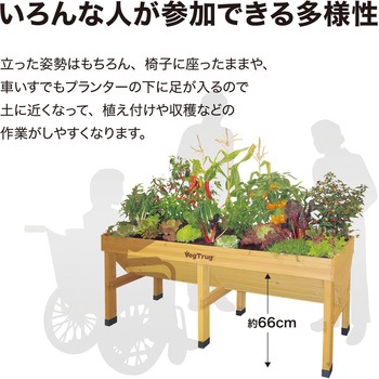 ホームベジトラグウォールハガー タカショー