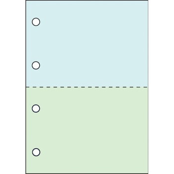 帳票用紙 A4 カラー レーザープリンタ用 コウナン