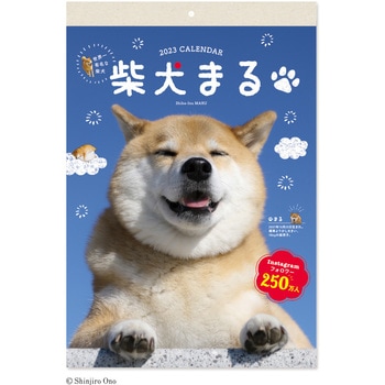 NK-8958 2023年壁掛けカレンダー 柴犬まる 1冊 新日本カレンダー 