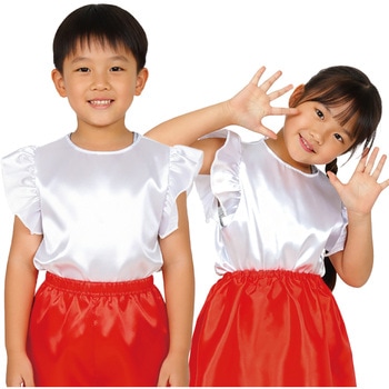 15068 �\�t�g�T�e�� �t���t���V���c �A�[�e�b�N[�w�Z���ށE����ߋ�] �Z�b�g���e:�{�́~1 ���F ���@38�~40cm 85503304