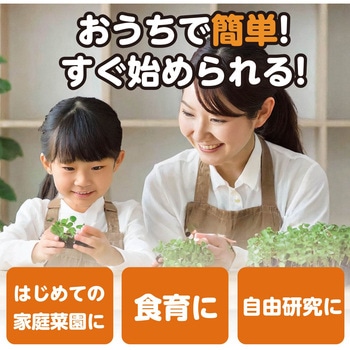 水耕栽培でブロッコリースプラウトを育てよう アーテック[学校教材・教育玩具]